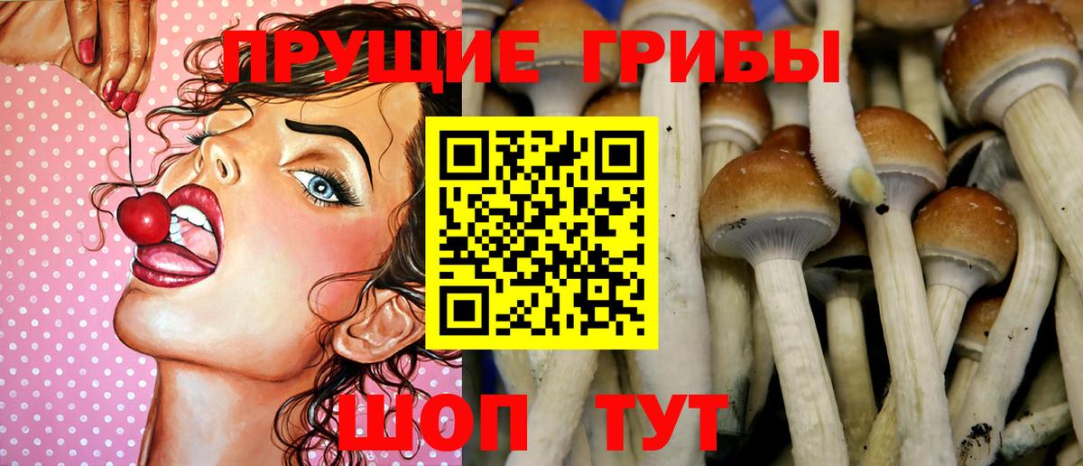 Лабинск  Псилоцибиновые грибы прущие грибы  Галлюциногенные грибы MAGIC MUSHROOMS  Вход с VPN 