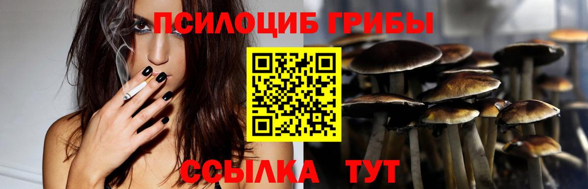 Псилоцибиновые грибы Magic Shrooms Лабинск